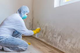 Best Mold Documentation for Insurance Claims  in South Brooksville, FL