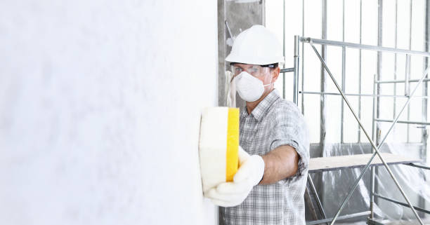 Best Post-Construction Mold Inspection  in South Brooksville, FL