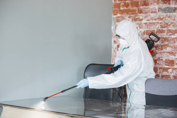 Best Industrial Mold Remediation  in South Brooksville, FL