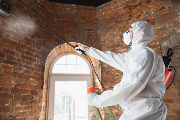 Best Residential Mold Inspection & Testing  in South Brooksville, FL