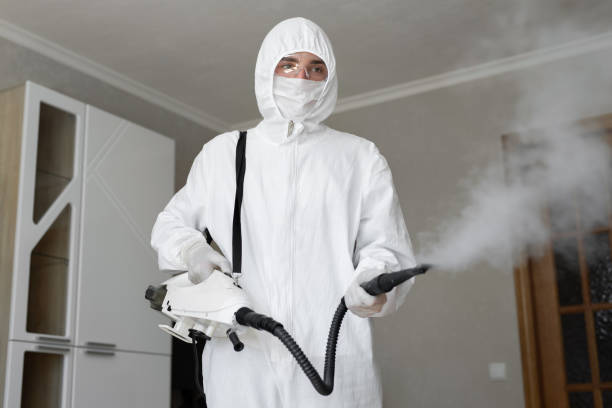 Reliable South Brooksville, FL Mold Removal & Remediation Solutions